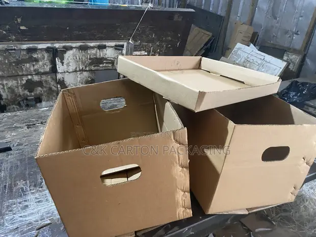 Corrugated Archive Box with Hand Hole - 1