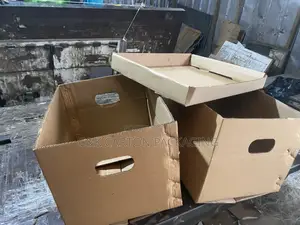 Corrugated Archive Box with Hand Hole