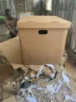 Souvenir Box - Brand New - 4