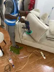 Carpet, Rug & Sofa Cleaning Service by Excellent Amazing Cleaning Service - 4