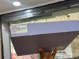 New Microsoft Surface Pro Qualcomm Snapdragon X Plus 16GB RAM 512GB SSD - 4