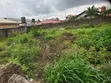 Commercial/Residential Land for Sale, Asaba - 2