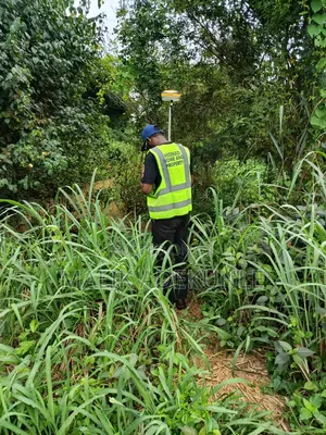 13,000 Acres Farmland for Sale, Iporo, Ogun State