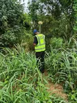 13,000 Acres Farmland for Sale, Iporo, Ogun State - 3