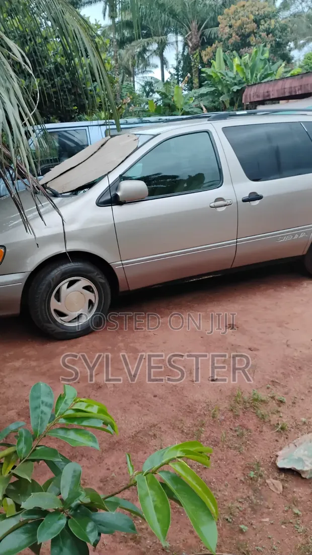 Toyota Sienna don haya - 1