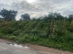 2 Plots of Land for Sale at Umuobia Estate, Umuahia