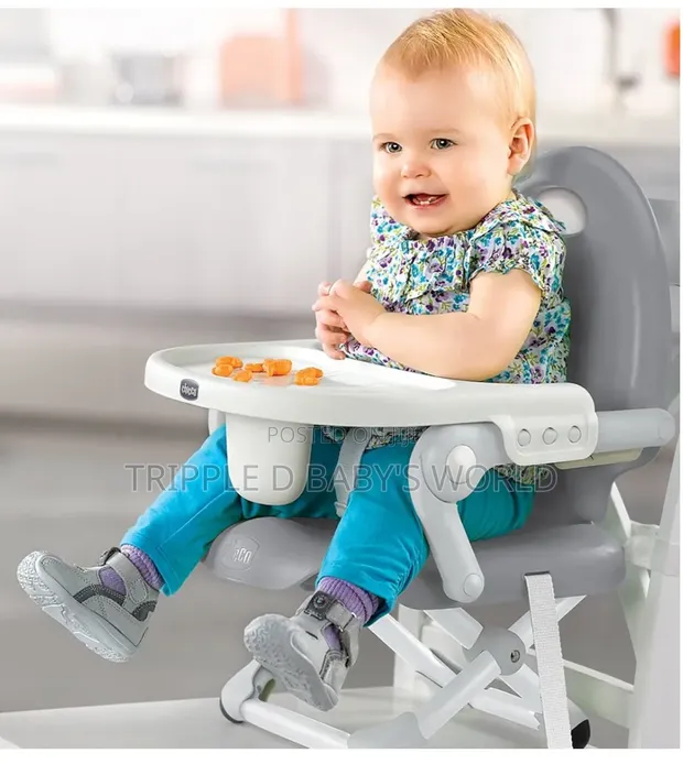 Chicco PocketSnack Booster Seat - Grey - 1