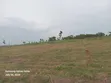 50 Acres Waterfront Land for Sale, Bayeku Igbogbo - 1