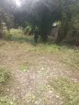 50 Acres Waterfront Land for Sale, Bayeku Igbogbo - 3