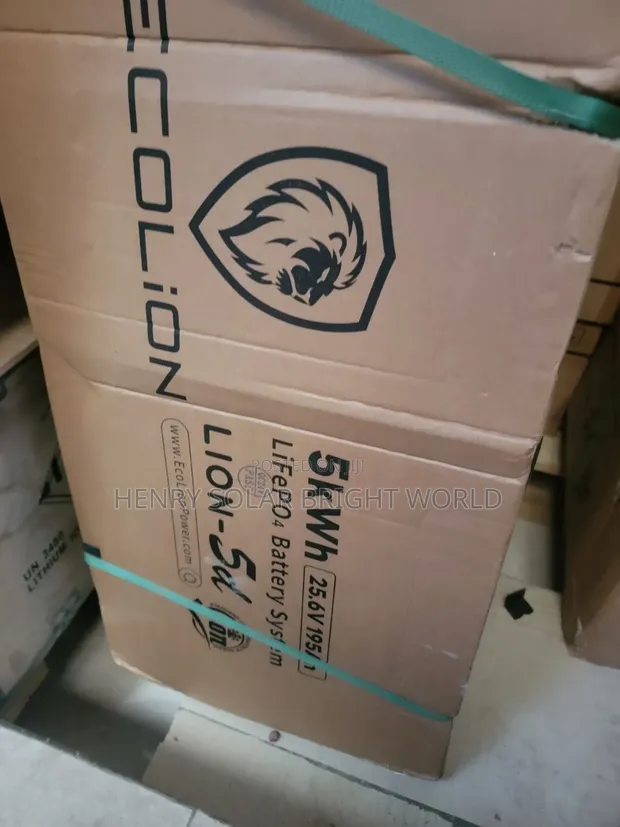 Ecolion 5kWh 24V Solar Battery - 1