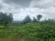 150 Acres Industrial Land for Sale, Lagos-Ibadan Expressway - 5