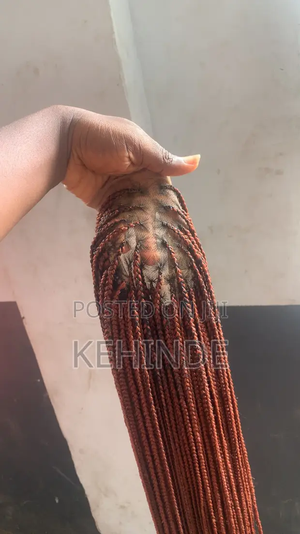 Braided Wig - Lace Closure - 1