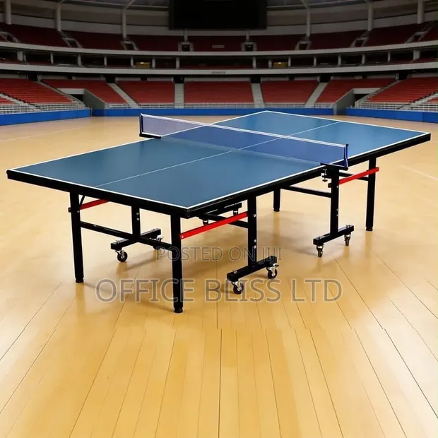 Outdoor/Indoor Table Tennis Board with Accessories - 1