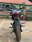 New Indian Scout 2026 - 5