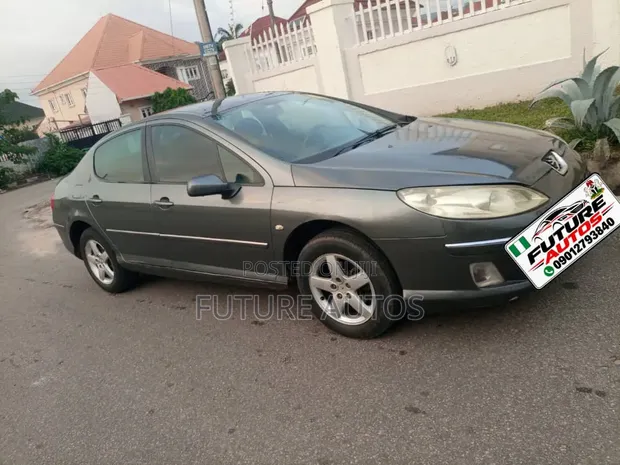 Peugeot 407 2005 Gray - 1