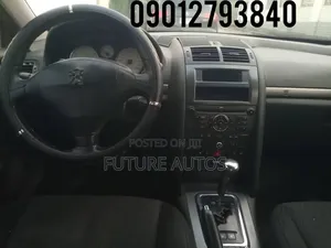 Peugeot 407 2005 Gray