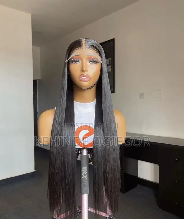 24" Vietnamese Bone Straight 5x5 Closure Wig - 1