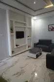 Professional House Cleaner & Car Washer - 5