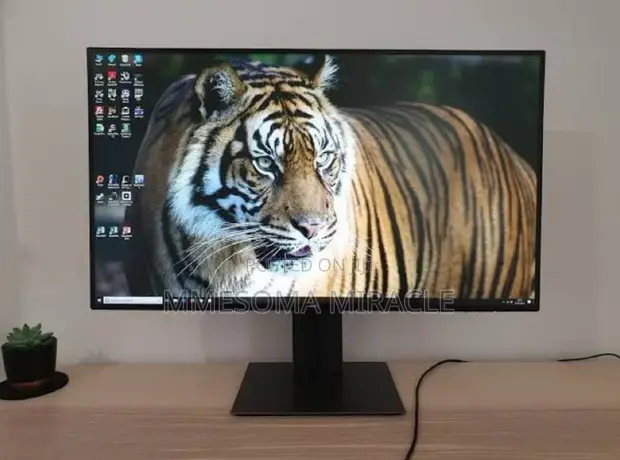 Dell UltraSharp U2419H 24" Full HD IPS Monitor - 1