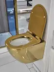 Royal Gold Wall Hung Toilet Water Closet WC - 1