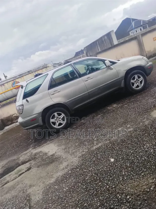 Lexus RX 300 2001 Silver - 1