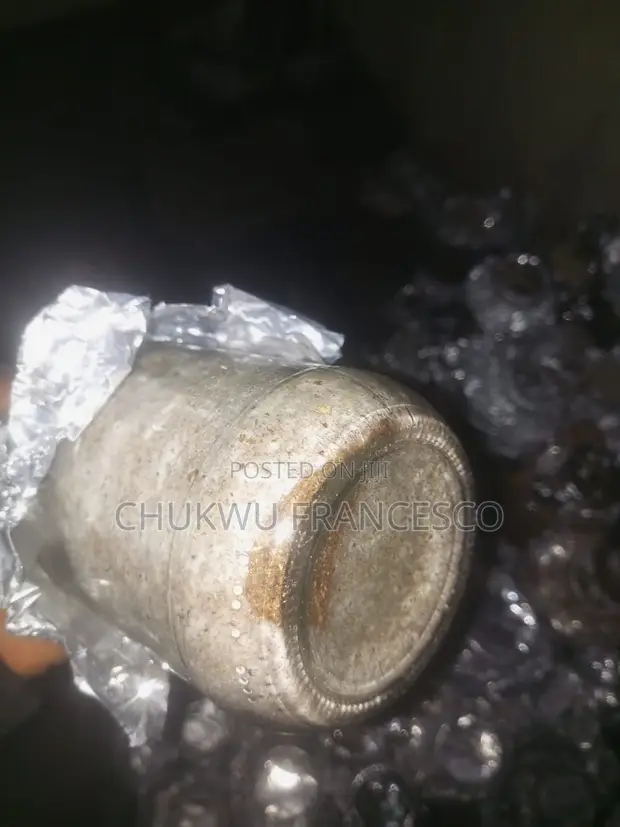 Fusion Oyster Mushroom Grain Spawn - 1