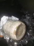 Fusion Oyster Mushroom Grain Spawn - 1