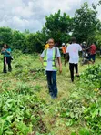 Filin Gona na Farmers City Premium Don Siyarwa - 2
