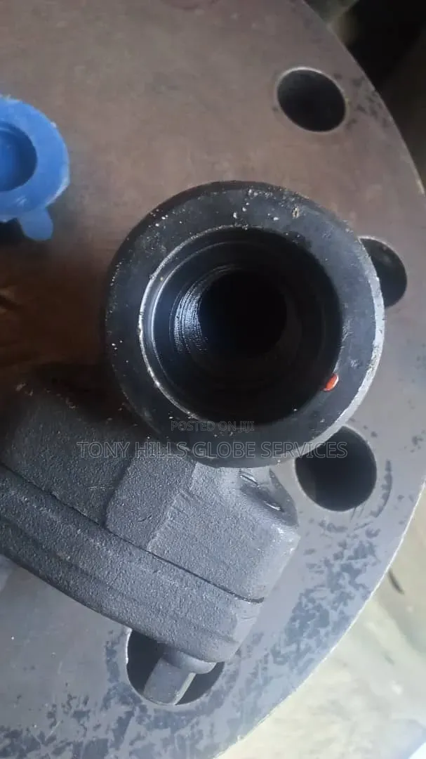 1"x800 Piston Check Valve - 1