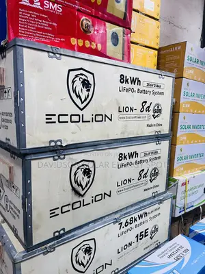 8kWh 24V Ecolion Solar Lithium Ion Battery