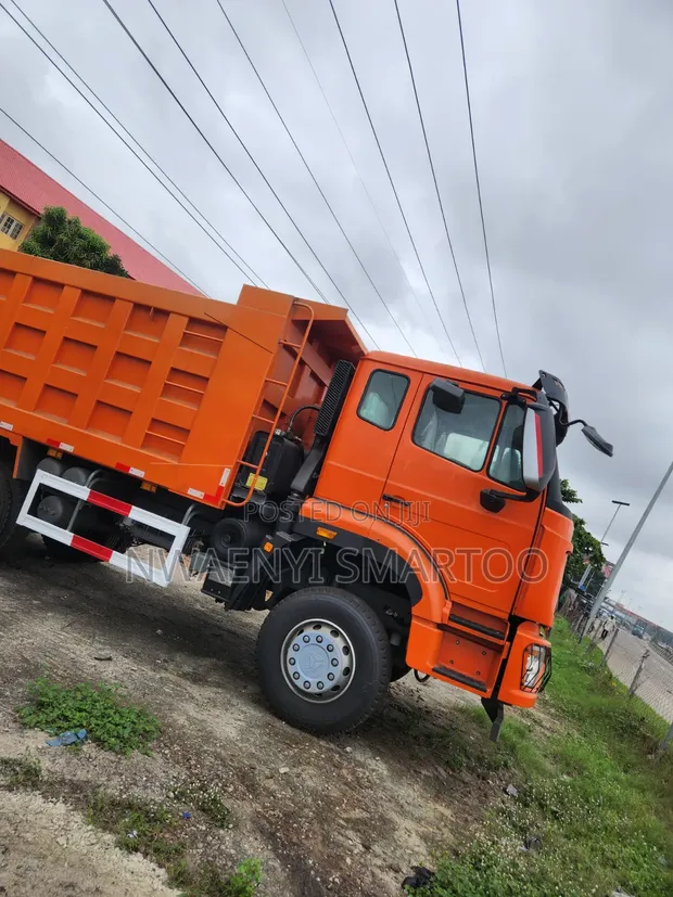 Brand New CNHTC Howo Dump Truck - 10 Ton Capacity - 1