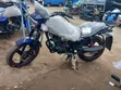New Denstar Taurus 200cc Motorcycle - 2