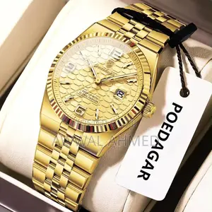 Luxury Poedagar Mechanical Watch - Gold