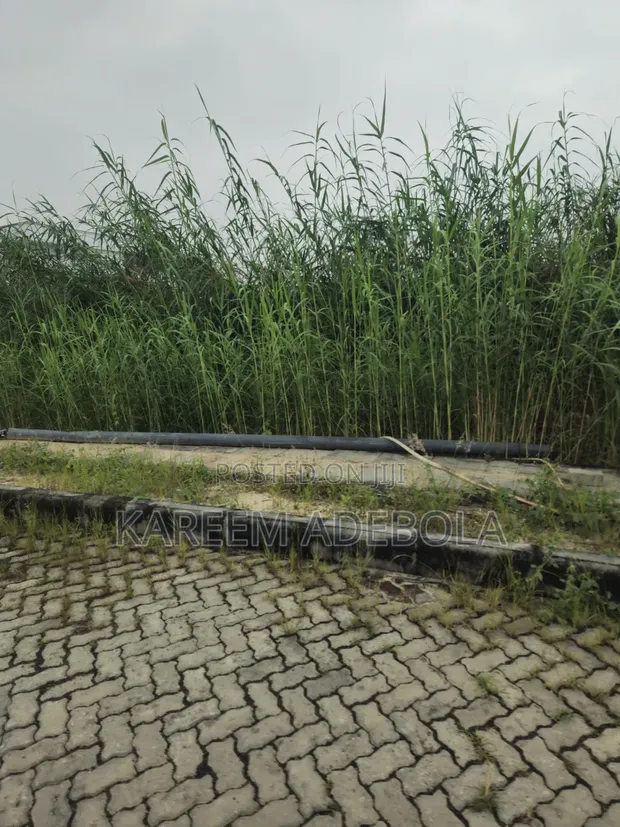 Residential Land Off 2nd Avenue, Banana Island, Ikoyi - 1