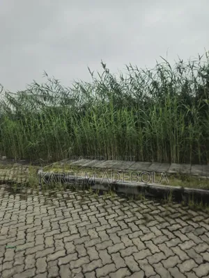 Residential Land Off 2nd Avenue, Banana Island, Ikoyi