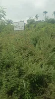 940sqm Residential Land for Sale, Oshimili South - 2