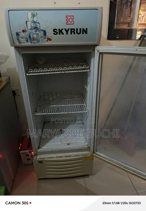 Skyrun Chiller - Used, Inner Bulb Burnt - 1