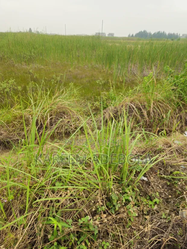Corner Piece Residential Land, Banana Island Ikoyi - 1