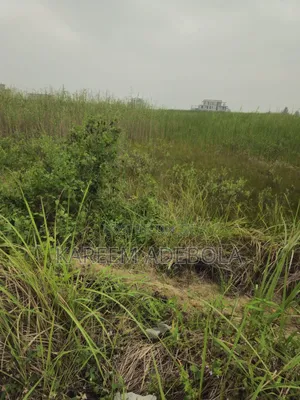 Corner Piece Residential Land, Banana Island Ikoyi