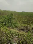 Corner Piece Residential Land, Banana Island Ikoyi - 2