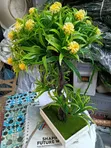 Home Interiors Plastic Tree Flower - 1