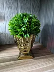 Decorative Face Flower - 2