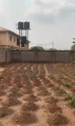 50x100ft Fenced Land with CofO, Ugbowo Lagos Road