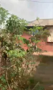 50x100ft Fenced Land with CofO, Ugbowo Lagos Road - 4