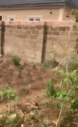50x100ft Fenced Land with CofO, Ugbowo Lagos Road - 5