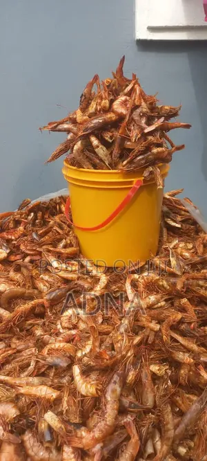 Fresh Prawns - 22,000 kowar Custard Rubber