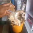 Sabbin Kan Kifi da Kunnen Kifi - 3