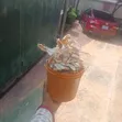 Sabbin Kan Kifi da Kunnen Kifi - 4