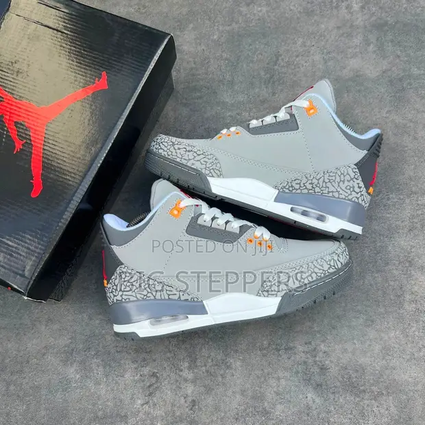 Nike Jordan 3 Cool Grey Sneakers - 1