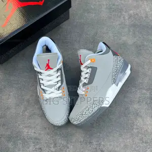 Nike Jordan 3 Cool Grey Sneakers